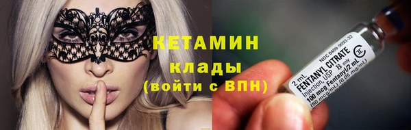 гашик Майский