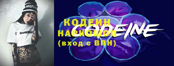 гашик Майский