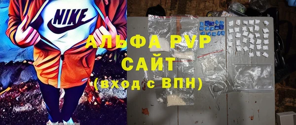 гашик Майский