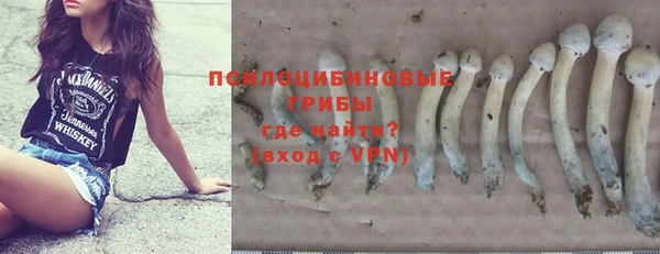 гашик Майский