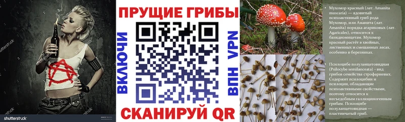 Галлюциногенные грибы Psilocybine cubensis Яблоновский